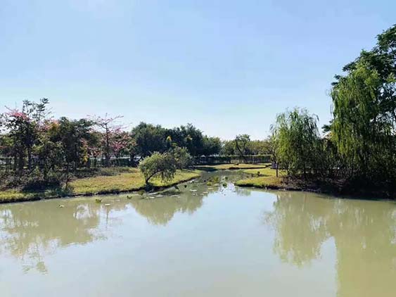 團建回顧|華陽湖大挑戰！尋找和生“三好青年”？